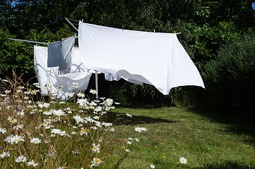 Image showing Drying white sheets