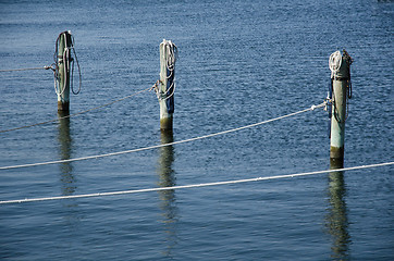 Image showing Wooden poles with ropes