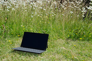 Image showing Laptop at a lawn with daisies