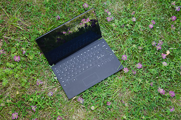 Image showing Laptop among clover flowers