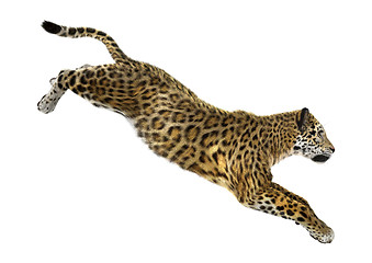 Image showing Big Cat Jaguar