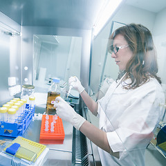 Image showing Life scientist researching in the laboratory.