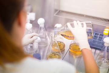 Image showing Young scientist pipetting solution.