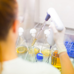 Image showing Young scientist pipetting solution.