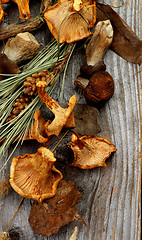 Image showing Dried Mushrooms