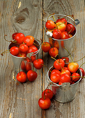 Image showing Sweet Maraschino Cherries