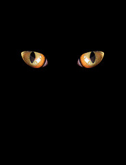 Image showing eyes of cat on the black background