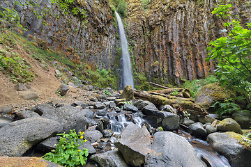 Image showing Dry Creek Falls in Columbia River Gorge