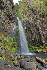 Image showing Dry Creek Falls in Columbia River Gorge Vertical