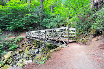 Image showing Pedestrian Bridge at Hiking Trail