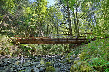 Image showing Wood Log Bridge Structure Over Gorton Creek