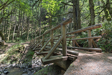 Image showing Wood Log Bridge Over Gorton Creek