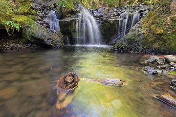 Image showing Emerald Falls along Gorton Creek with Driftwood