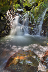 Image showing Hidden Waterfall Along Gorton Creek