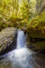 Image showing Waterfall along Gorton Creek in the Afternoon