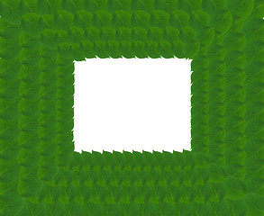 Image showing Green square frame from leaves