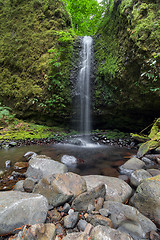 Image showing Mossy Grotto Falls