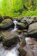 Image showing Ruckel Creek in Columbia River Gorge