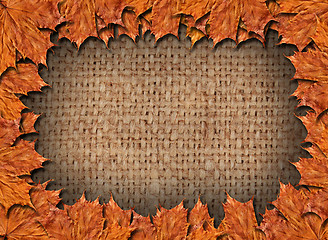 Image showing Frame from the yellow leaves on the sacking