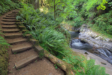 Image showing Wood Steps by  Waterfall at Sweet Creek Falls Trail