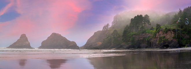 Image showing Heceta Head Lighthouse State Park Panorama