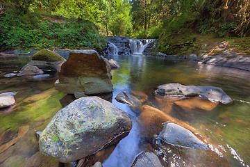 Image showing Waterfall at Sweet Creek Falls Trail