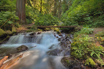 Image showing Cascading Waterfall at Wahkeena Canyon Trail