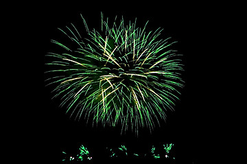 Image showing Fireworks Lighting up the Sky