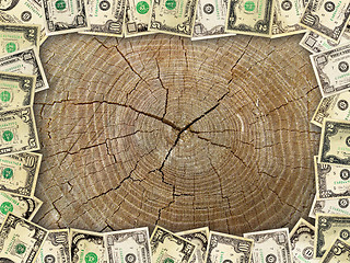 Image showing Frame from the dollars on the wooden background