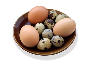 Image showing eggs of the quail and of the hen on the plate