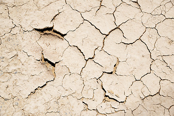 Image showing parched earth background