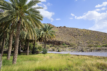 Image showing Landscape Oman