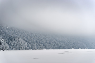 Image showing Forest with snow Bavaria