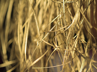 Image showing Golden straw background