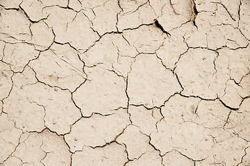 Image showing parched earth background