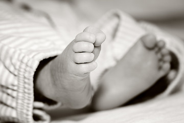 Image showing Baby's feet