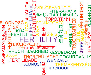 Image showing Fertility multilanguage wordcloud background concept