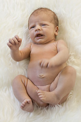 Image showing Cute New Born Baby Lying on White Cloth