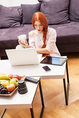 Image showing Young Woman Using Laptop In the Living Room