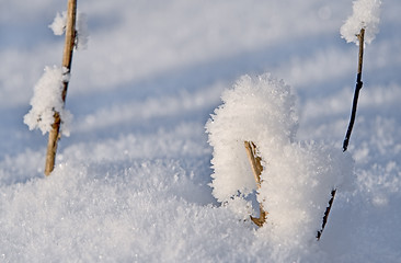 Image showing Winter detail