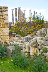 Image showing volubilis in morocco africa the  deteriorated monument and site
