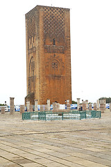 Image showing the   chellah  in morocco africa       old roman deteriorated mo