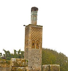 Image showing chellah  in morocco          roman deteriorated       and site