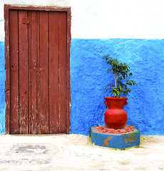 Image showing historical blue  in  antique building door morocco      style af