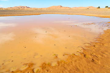 Image showing sunshine in  yellow  desert   morocco sand and     dune