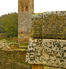 Image showing chellah  in morocco africa the old roman deteriorated monument a