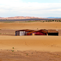 Image showing tent in  the desert of morocco sahara and rock  stone    sky