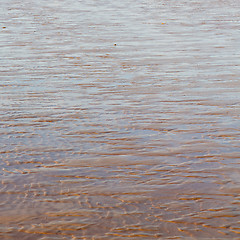 Image showing abstract in morocco  sea africa ocean wave and  bird