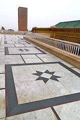 Image showing the   chellah  in        old roman deteriorated monument   site