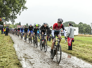 Image showing The Peloton on a Cobbled Road- Tour de France 2014